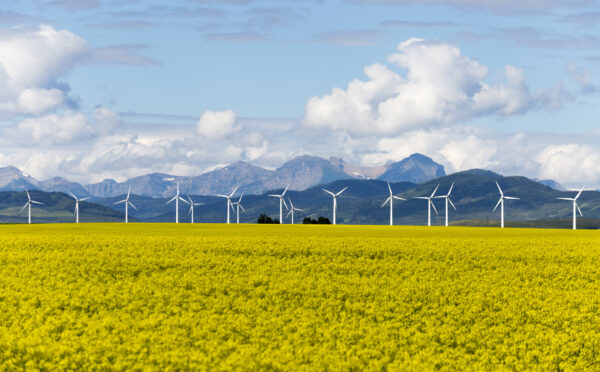 Le point sur l’étude de l’AUC : L’Alberta annonce des zones inconstructibles et des exigences obligatoires en matière de garantie de remise en état pour les projets d’énergie renouvelable